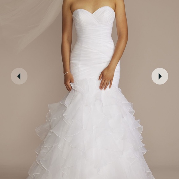 David’s Bridal Wedding gown - Picture 8 of 12